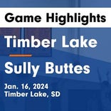 Basketball Game Preview: Timber Lake Panthers vs. Bison Cardinals