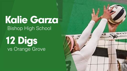 Softball Game Preview: Bishop Badgers vs. San Benito Greyhounds