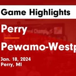 Basketball Game Recap: Perry Ramblers vs. Dansville Aggies
