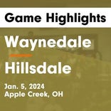 Hillsdale vs. Strasburg-Franklin