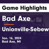 Bad Axe vs. Unionville-Sebewaing