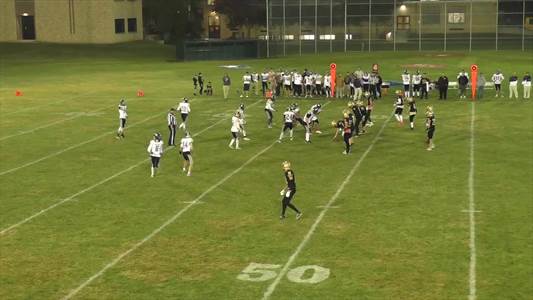 Baseball Game Preview: Dansville Plays at Home