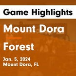 Basketball Game Preview: Mount Dora Hurricanes vs. South Lake Eagles