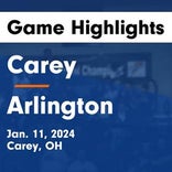Basketball Game Recap: Arlington Red Devils vs. Carey Blue Devils