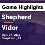 Vidor vs. Shepherd