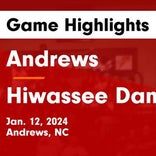 Andrews piles up the points against Highlands