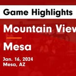 Basketball Game Recap: Mountain View Toros vs. Dobson Mustangs