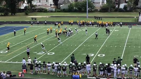 Football Game Preview: Elyria Catholic Plays at Home