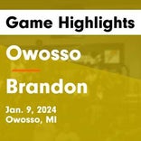 Owosso skates past Brandon with ease