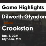 Dilworth-Glyndon-Felton vs. Thief River Falls