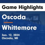 Basketball Game Preview: Oscoda Owls vs. Standish-Sterling Panthers