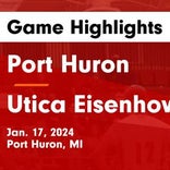 Basketball Game Recap: Port Huron Red Hawks vs. Dakota Cougars