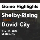 Basketball Game Preview: Shelby-Rising City Huskies vs. East Butler Tigers
