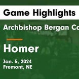 Basketball Recap: Jocelyn Hightree and  Alexandra Albrecht secure win for Homer