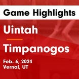 Basketball Game Preview: Uintah Utes vs. Pine View Panthers