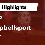 Basketball Game Preview: Campbellsport Cougars vs. Sheboygan Falls Falcons