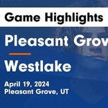 Soccer Game Recap: Pleasant Grove Find Success