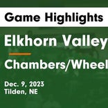 Elkhorn Valley vs. Elgin/Pope John