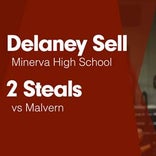 Softball Recap: Delaney Sell can't quite lead Minerva over New Philadelphia