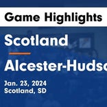 Basketball Game Recap: Alcester-Hudson Cubs vs. Centerville Tornadoes