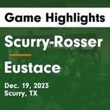 Basketball Game Preview: Scurry-Rosser Wildcats vs. Palmer Bulldogs