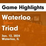 Basketball Game Recap: Waterloo Bulldogs vs. Columbia Eagles