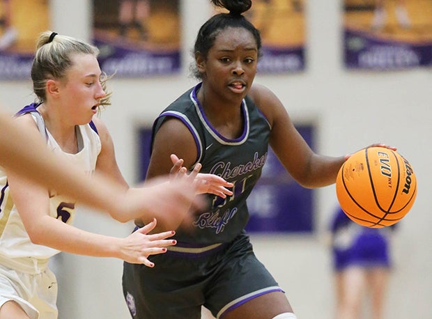 Georgia high school girls basketball Top 25: Statistical leaders