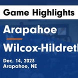 Basketball Game Recap: Wilcox-Hildreth Falcons vs. Shelton Bulldogs