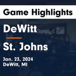 Basketball Game Preview: DeWitt Panthers vs. Everett Vikings