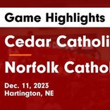 Cedar Catholic vs. Dakota Valley