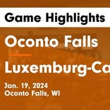 Basketball Game Preview: Oconto Falls Panthers vs. Denmark Vikings