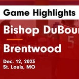 Brentwood's loss ends three-game winning streak at home