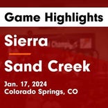 Basketball Game Recap: Sand Creek Scorpions vs. Falcon Falcons