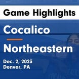 Basketball Game Recap: Cocalico Eagles vs. Northeastern Bobcats