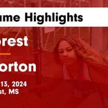 Basketball Game Preview: Forest Bearcats vs. Morton Panthers