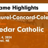 Cedar Catholic wins going away against Laurel-Concord-Coleridge