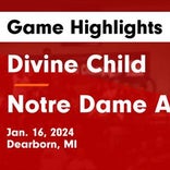 Basketball Game Preview: Divine Child Falcons vs. Marian Mustangs