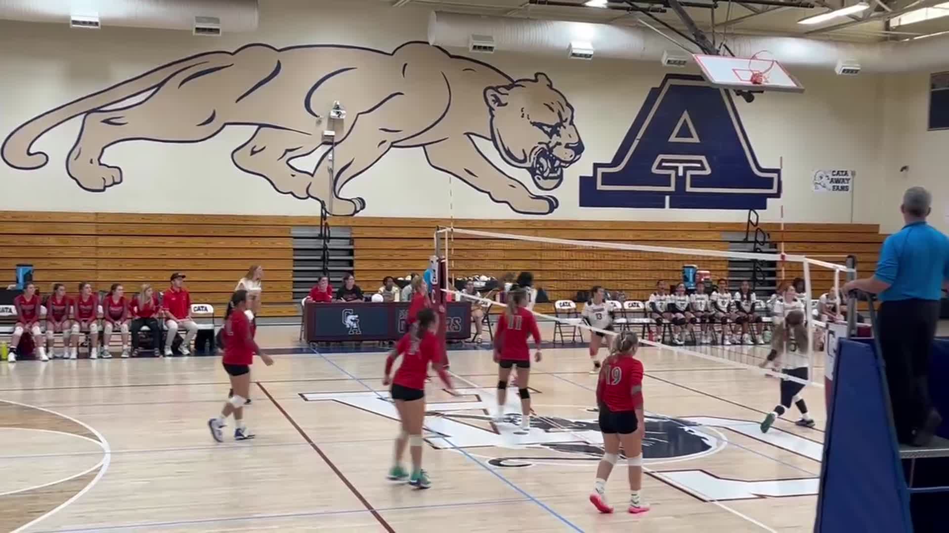 Volleyball Recap: Lee Park Prep Comes Up Short