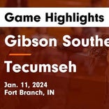 Basketball Game Recap: Tecumseh Braves vs. Gibson Southern Titans