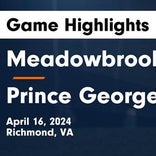 Soccer Game Preview: Meadowbrook Plays at Home