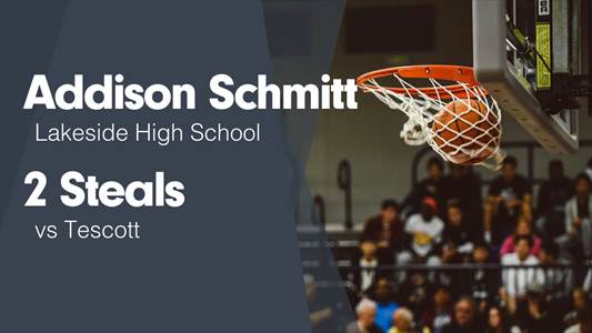 Addison Schmitt Game Report: vs Sylvan-Lucas
