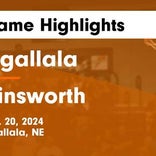 Basketball Game Recap: Ainsworth Bulldogs vs. Johnson-Brock Eagles