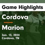 Basketball Game Preview: Cordova Wolves vs. Bartlett Panthers