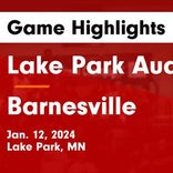 Basketball Game Preview: Lake Park-Audubon Raiders vs. Ada-Borup Cougars