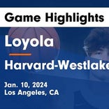 Basketball Game Preview: Loyola Cubs vs. Chaminade Eagles