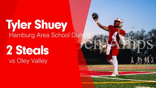 Baseball Recap: Hamburg Find Success