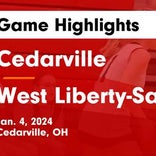 Cedarville vs. West Liberty-Salem