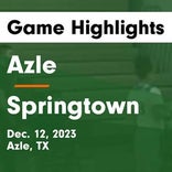 Basketball Game Recap: Springtown Porcupines vs. Eastwood Troopers