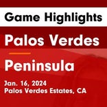 Soccer Game Preview: Palos Verdes vs. Torrance