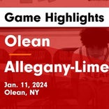 Basketball Game Recap: Olean Huskies vs. St. Mary's Lancers